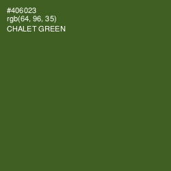 #406023 - Chalet Green Color Image