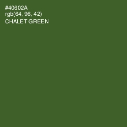 #40602A - Chalet Green Color Image