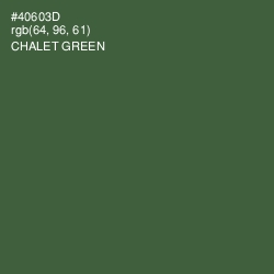 #40603D - Chalet Green Color Image