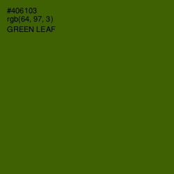 #406103 - Green Leaf Color Image