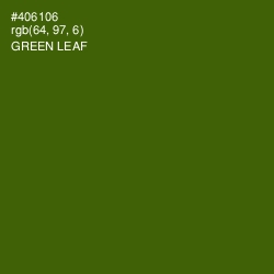 #406106 - Green Leaf Color Image