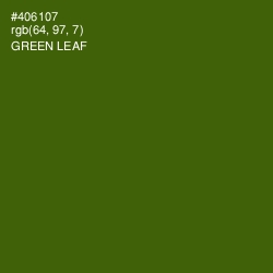 #406107 - Green Leaf Color Image