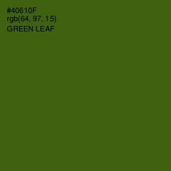 #40610F - Green Leaf Color Image