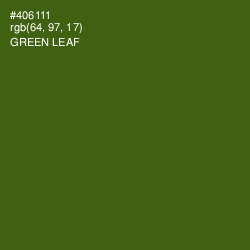 #406111 - Green Leaf Color Image