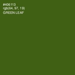 #406113 - Green Leaf Color Image