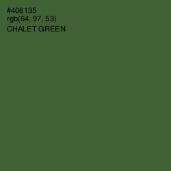 #406135 - Chalet Green Color Image