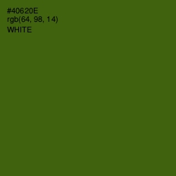 #40620E - Green Leaf Color Image