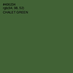 #406234 - Chalet Green Color Image