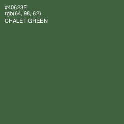 #40623E - Chalet Green Color Image