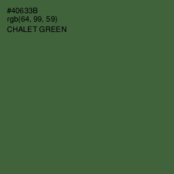 #40633B - Chalet Green Color Image