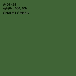 #406435 - Chalet Green Color Image