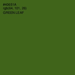 #40651A - Green Leaf Color Image