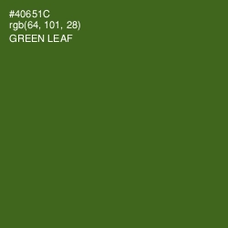 #40651C - Green Leaf Color Image