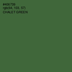 #406739 - Chalet Green Color Image