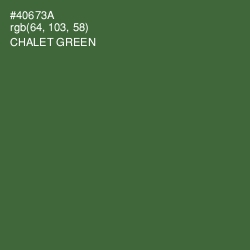 #40673A - Chalet Green Color Image