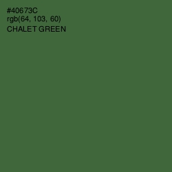 #40673C - Chalet Green Color Image