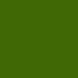 #406906 - Green Leaf Color Image