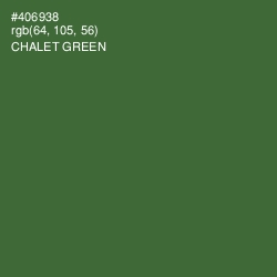 #406938 - Chalet Green Color Image