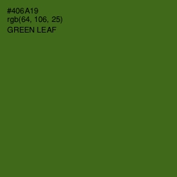 #406A19 - Green Leaf Color Image