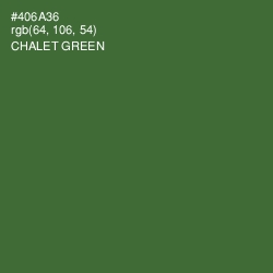 #406A36 - Chalet Green Color Image