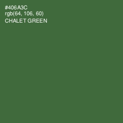 #406A3C - Chalet Green Color Image