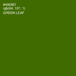 #406B01 - Green Leaf Color Image