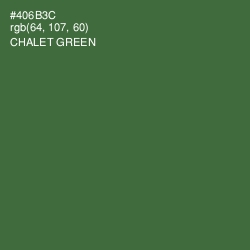#406B3C - Chalet Green Color Image
