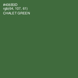 #406B3D - Chalet Green Color Image