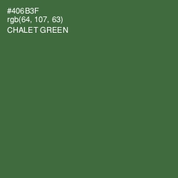 #406B3F - Chalet Green Color Image