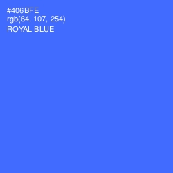#406BFE - Royal Blue Color Image