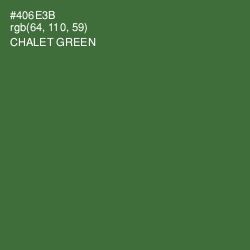 #406E3B - Chalet Green Color Image