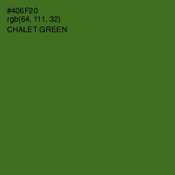 #406F20 - Chalet Green Color Image