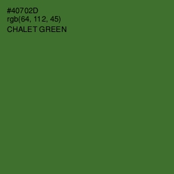 #40702D - Chalet Green Color Image