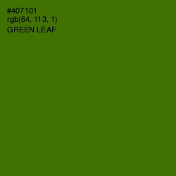 #407101 - Green Leaf Color Image