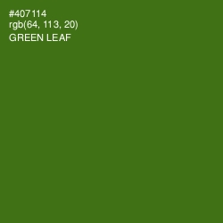 #407114 - Green Leaf Color Image