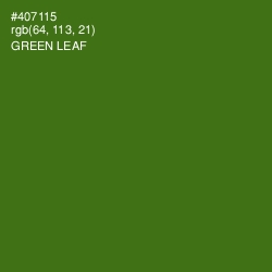 #407115 - Green Leaf Color Image