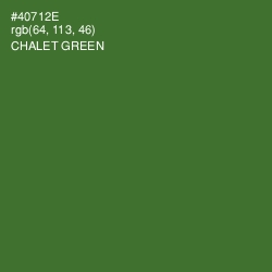 #40712E - Chalet Green Color Image