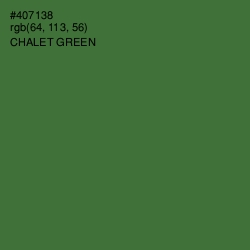 #407138 - Chalet Green Color Image