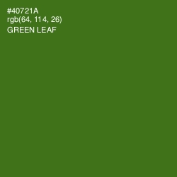 #40721A - Green Leaf Color Image