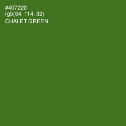 #407220 - Chalet Green Color Image