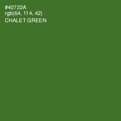 #40722A - Chalet Green Color Image