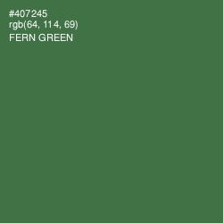 #407245 - Fern Green Color Image