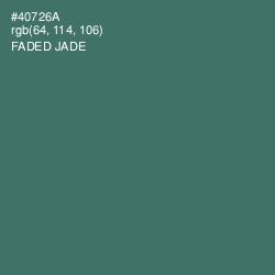 #40726A - Faded Jade Color Image