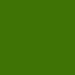 #407306 - Green Leaf Color Image