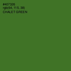 #407326 - Chalet Green Color Image