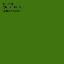 #40740E - Green Leaf Color Image