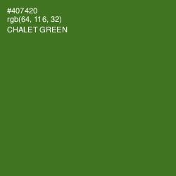 #407420 - Chalet Green Color Image