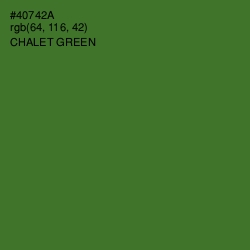 #40742A - Chalet Green Color Image