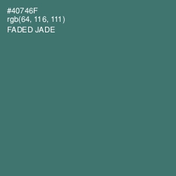 #40746F - Faded Jade Color Image
