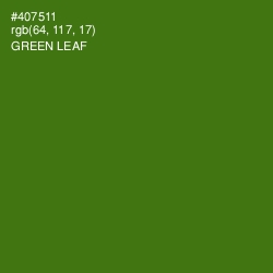 #407511 - Green Leaf Color Image